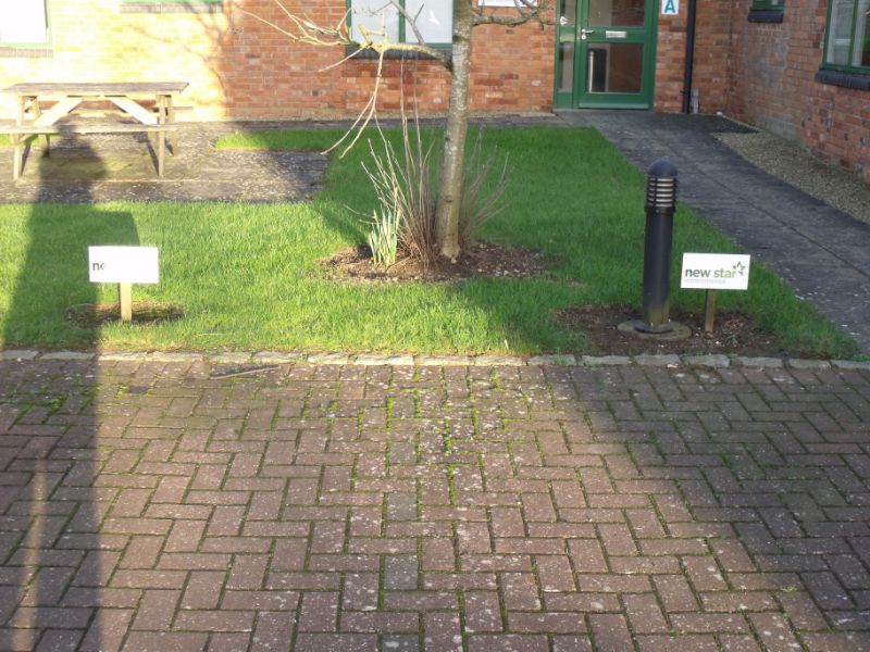 Parking signs on wooden stakes