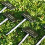 moulded tree stakes 119 x 68mm x 295