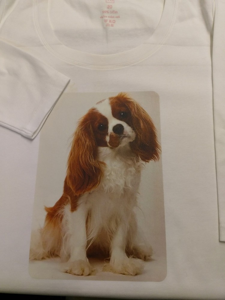 Bespoke Custom Printed Garment Tee T Shirt Top Full Colour Impact Signs